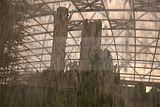leipzig zoo-01_07_2011_gondwanaland_144